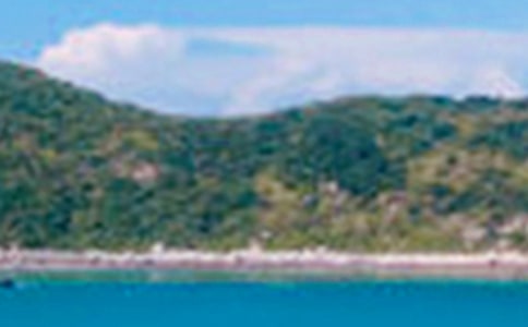 �茑���¾�ɫ��(y��u)���ľ���