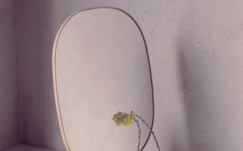 鏡子里的我作文15篇