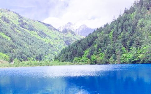 ��կ����ӛ����