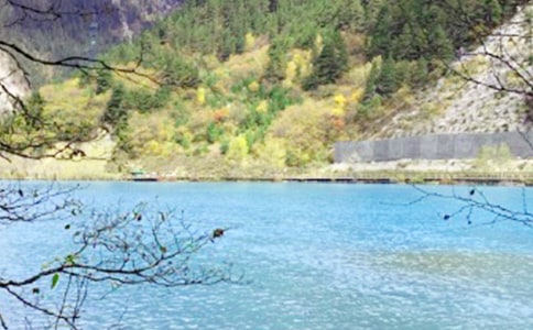 ��կ������