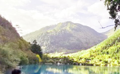 �ξ�կ�����ġ����T��