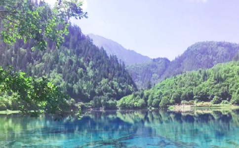 9����կ�ϡ�