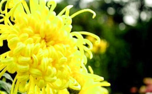 ���������{�ջ��������x