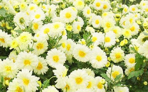 ���ݾջ��ľ���22��