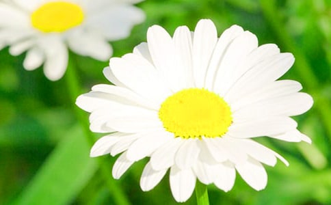 ����(gu��)��(bi��o)����һ��(c��)�����ջ�����