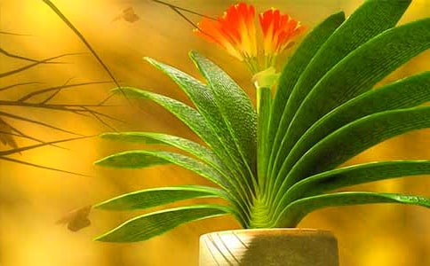 �������m������9ƪ