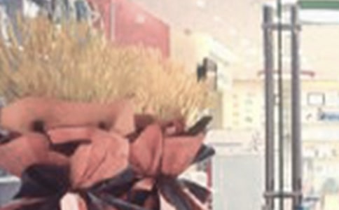 ���ޏS�_�I(y��)�ĵڶ��칤�����Y(ji��)