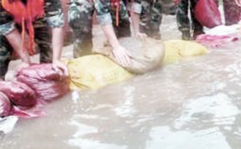 抗洪救災(zāi)個(gè)人工作總結(jié)