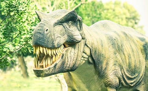 ������(y��u)������