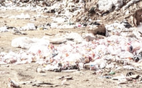 �h�r(n��ng)���������ι�����r�R�� 