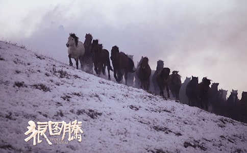 �ǈD�v��(j��ng)���Z�