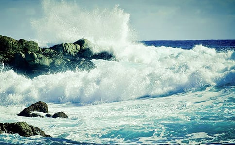 �˻��o�ҵĆ�ʾ���ģ����x25ƪ��