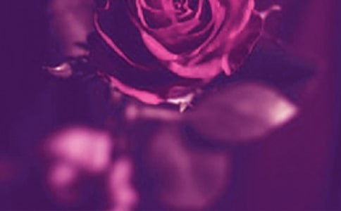 浪漫情書(shū)怎么寫(xiě)