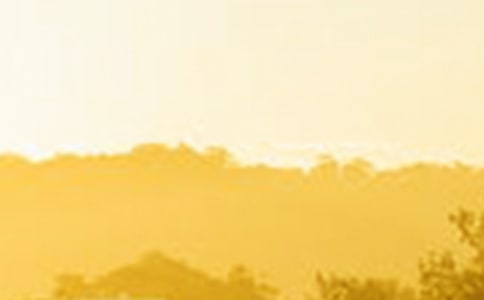 ��ס�Ƿ���������