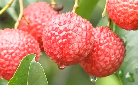 ����֦�D��.�O(sh��)Ӌ(j��).