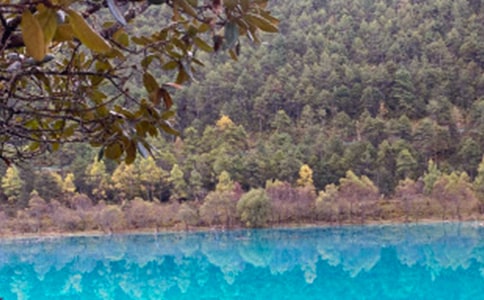 �������ų�����400��