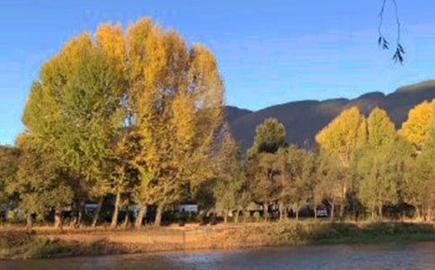 ��ý�w�����ϒ��ɲ��������������ϑc�����������(b��o)��