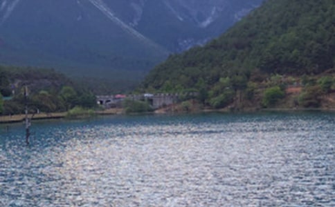 �����ų����ģ����x25ƪ��