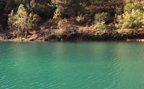 �����ų�����(15ƪ)