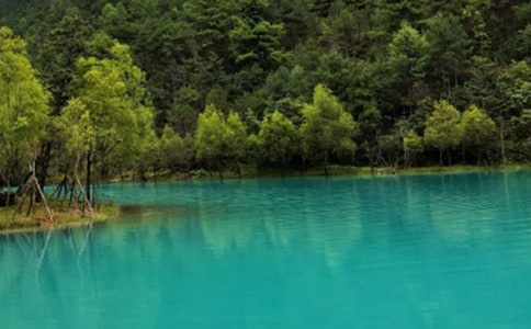 �����ų�