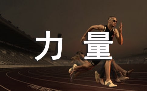 ���ŵ���������500��