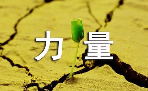 巧借三種力量促進糧食增產工程總結