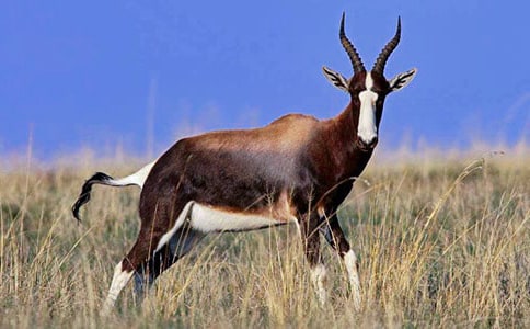 ����ľ���m(x��)������