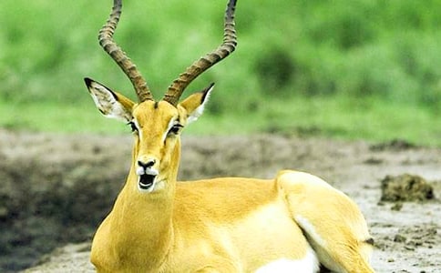 ������ľ���m(x��)������