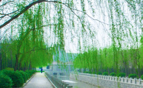 2023����������ľ���ժ�42��