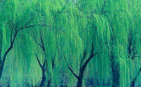 2024�꾫�x��������ľ��Ӽ��\41��