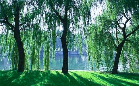 ���䃞(y��u)������