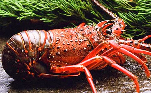 ���r��(ji��)�V���Z(y��)