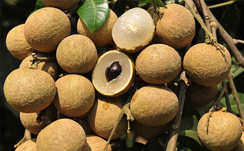 ���l(xi��ng)����������