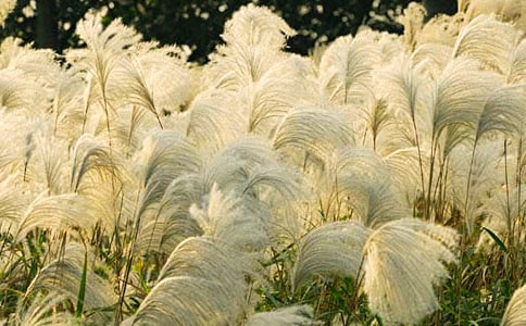 �JȔ΢΢����800��