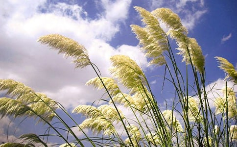 �JȔ��(y��u)������