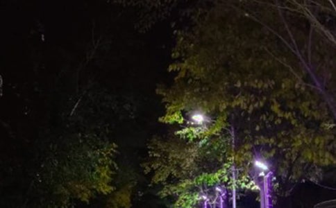 (��)·��(y��u)������