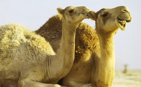 �񄃞(y��u)������