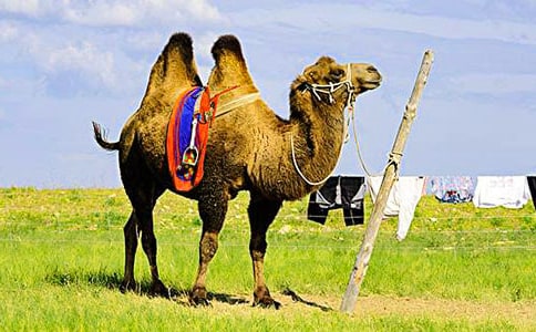 �����񄡷 ֮��