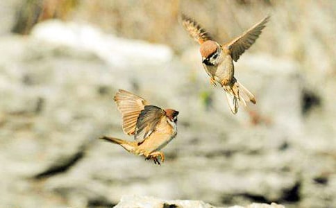 ��ȸ��(y��u)������