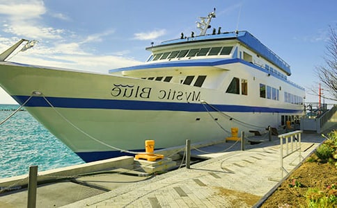 �a�^���������ƪ