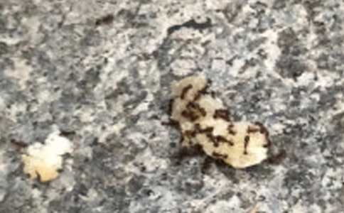 Λρ[���x15ƪ]