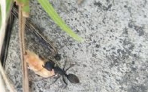 Λρ�Ć�ʾ����