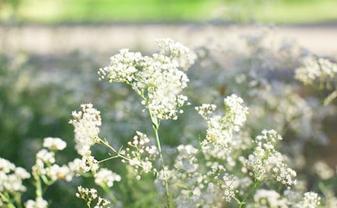 �M���ǵľ���