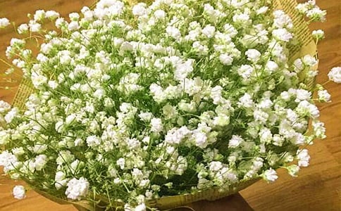 ����M���ǹ�����13ƪ[���A]