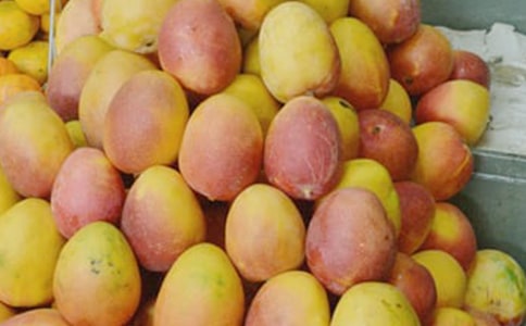 (�؂�)â��������15ƪ