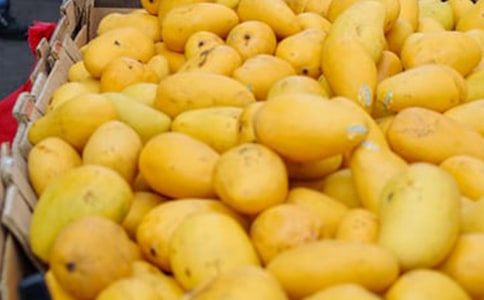 ��Bâ��������