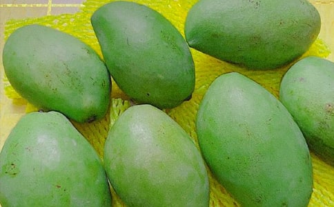 ����(j��ng)�䡿â��������