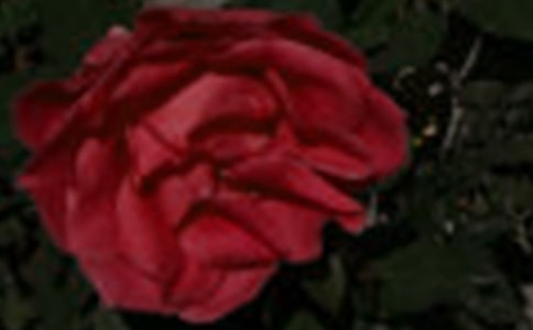 ������õ�����������㡱������600�֣����x24ƪ��