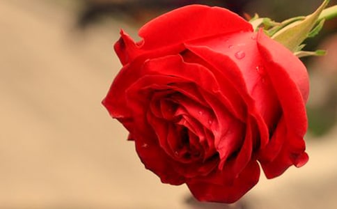 �����T��õ������ąR����ƪ