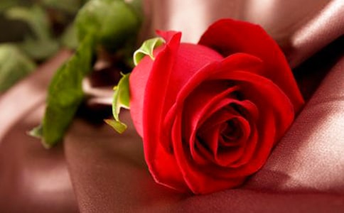 ��(sh��)�õ�ٛ(z��ng)��õ��������ƪ